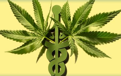Cannabis medicinal: la revolucionaria herramienta contra el dolor, que se abre paso entre mitos y prejuicios