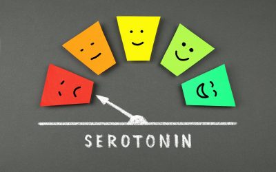 ¿Qué relación hay entre la serotonina y los cannabinoides?
