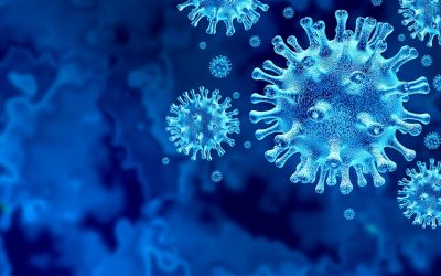 Dos moléculas de la planta de cannabis podrían ayudar a prevenir la infección por COVID-19