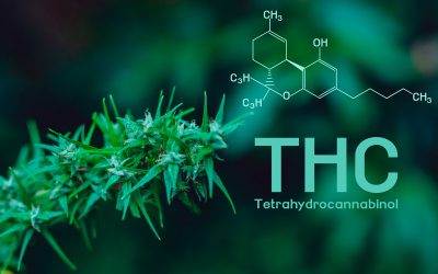 ¿Qué es el tetrahidrocannabinol (THC)?