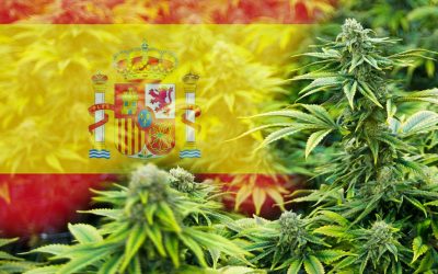 España habilita la venta de cannabis: quiénes podrán acceder y dónde se comercializará
