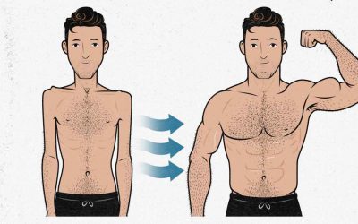 ¿Puede el CBD facilitar el crecimiento muscular durante el entrenamiento físico?