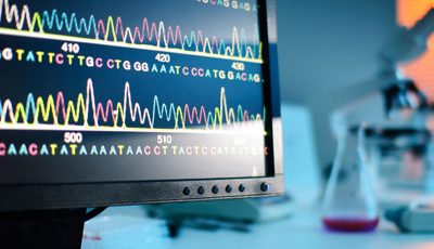 Investigadores apuntan al desarrollo genético del cannabis medicinal con bioinformática