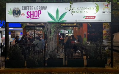 Allanamiento sin orden judicial a un growshop
