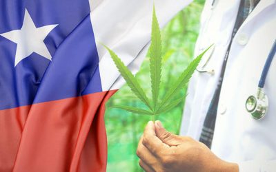 Chile avanza en legislar el uso personal del cannabis