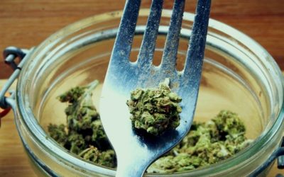 Buscan incorporar el Cannabis Sativa en alimentos y en el Código Alimentario