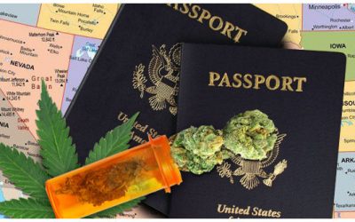 REPROCANN: Cómo viajar en avión con cannabis en Argentina