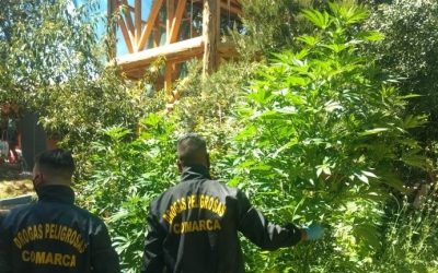 El Hoyo: luego del allanamiento a un cultivador, el intendente impulsa una mesa de diálogo con la Justicia y la policía