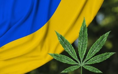 Ucrania legaliza el uso medicinal del cannabis para ayudar a las víctimas de la guerra