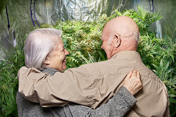 Cannabis: por qué algunas personas mayores lo eligen en lugar de otros medicamentos