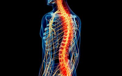 Estudio: cannabinoides “menores” pueden ayudar a combatir el cáncer