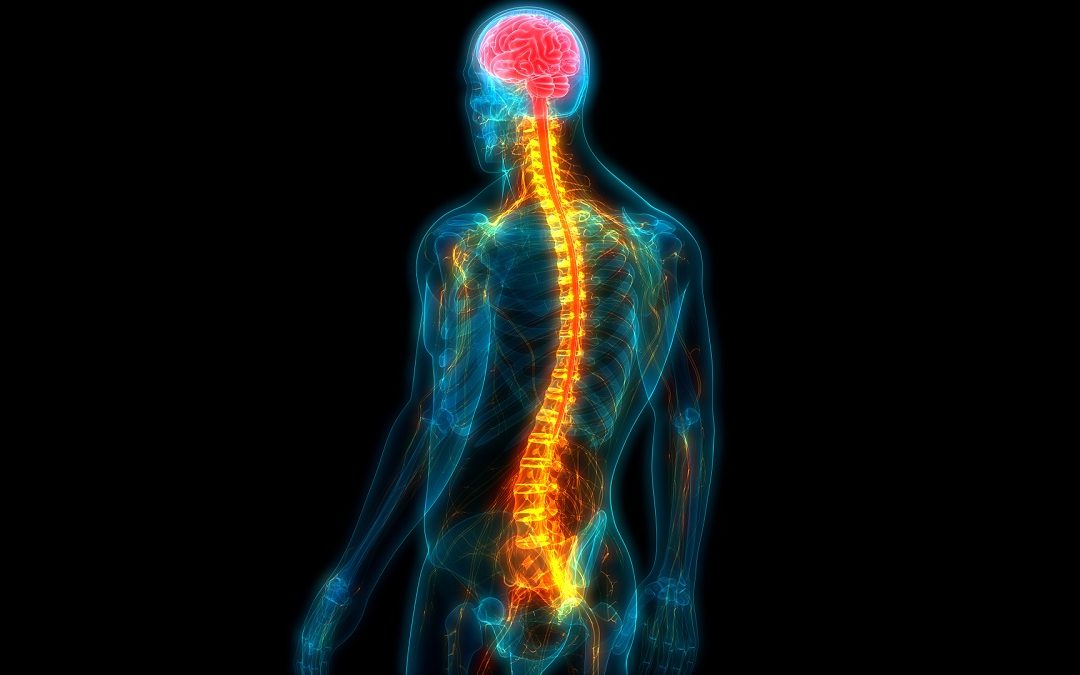 Tratamiento de Radiculopatías con cannabis